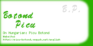 botond picu business card